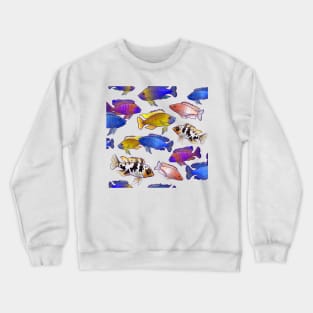 African peacock Crewneck Sweatshirt